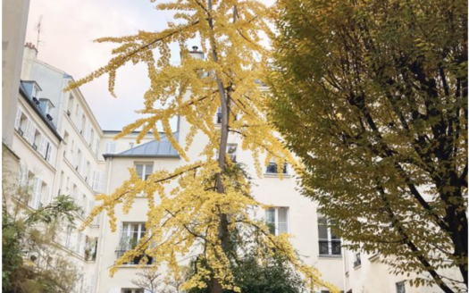 Appartement dans le Marais