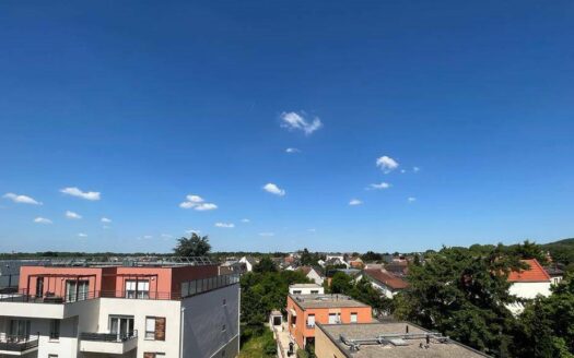 Vente appartement 2 pièces 42 m² Livry-Gargan (93190)