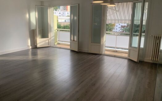 Appartement t3 st-etienne fauriel 65m2