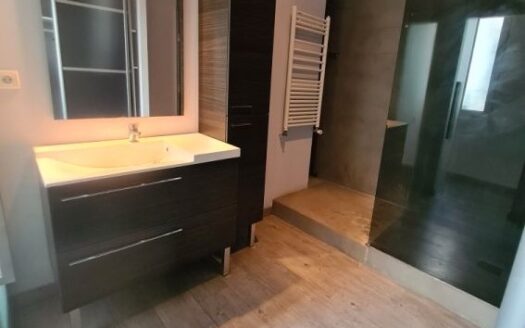 Appartement coeur de montpellier