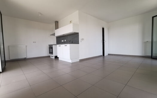 Grand T2 de 52 m² + terrasse 37 m²