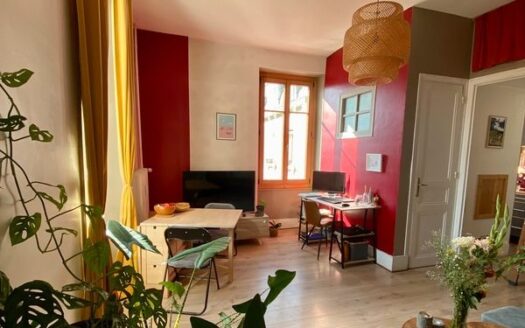 Appartement T2 cosy et lumineux, centre ville vue montagnes et proche gare