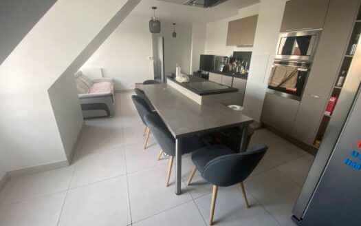 IDEAL PREMIER ACHAT APPARTEMENT Tigery 3 pièces