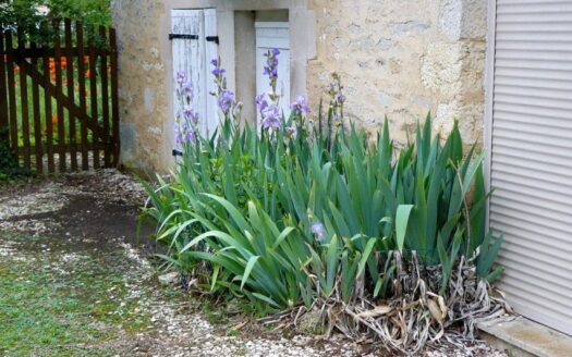 Maison à vendre à Rouvres-sur-Aube (52160) au cœur du Parc National