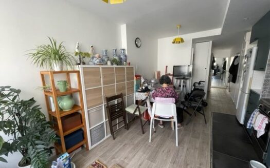 Appartement mieux que les autres F3 de 46,5 m² avec très grande terrasse