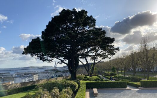 Appartement Triangle d’or Brest