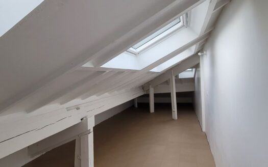 Duplex 3 pièces 65m2 de caractère avec extérieur