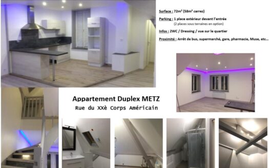 Appartement F2 Duplex METZ