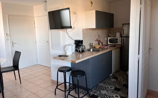 IDEAL INVESTISSEUR OU PRIMO ACCEDANT Vend appartement Uzes vue duché