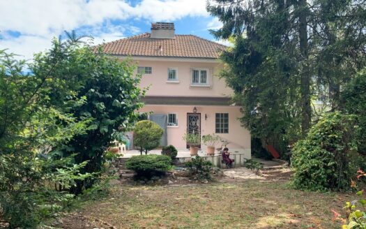 Maison en viager occupé