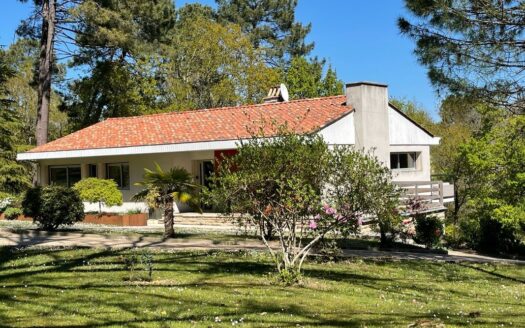 Maison d’architecte rénovée avec piscine proche Périgueux 4km