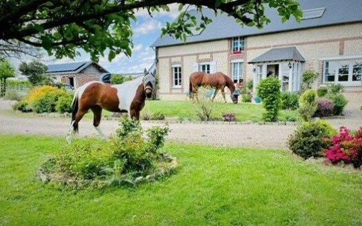 Propriété familiale proche Pacy/Eure – 210m2 environ avec chambres d’Hôtes