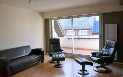 IDEAL FAMILLE OU COUPLE Saverne bel appartement lumineux centre ville