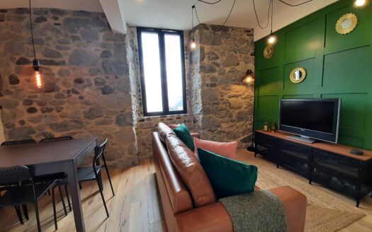 Magnifique appartement duplex rénové avec une vue superbe sur les Pyrénées