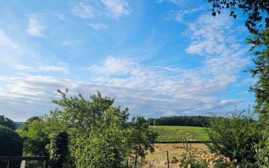 Maison vigneronne à Péronne