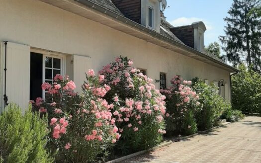 Grande maison avec parc LANGON(33)