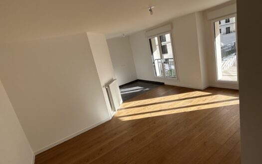 IDEAL INVESTISSEUR APPARTEMENT 3P LUMINEUX AVEC GRAND BALCON