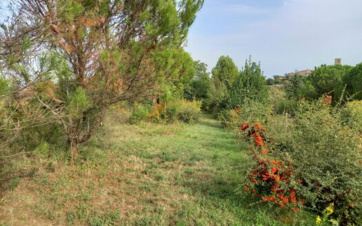 Terrain Constructible , 4260 m2