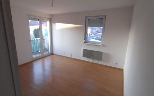 Appartement 4 pièces sur Ensisheim