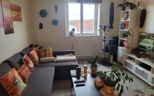 Appartement F3 avec garage à Montois la Montagne