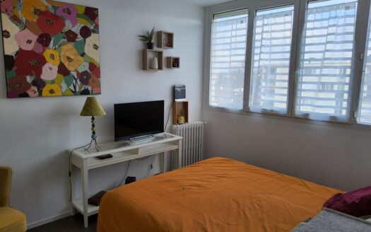 Appartement T4