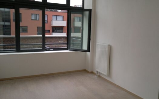 Appartement Loft T3 Lille Hellemmes