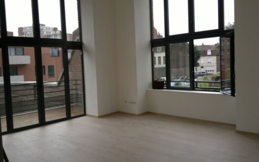 Appartement Loft T3 Lille Hellemmes