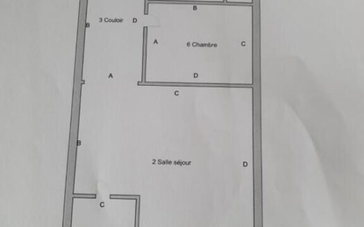 Immobilier : immeuble comprenant 2 logements, proche gare