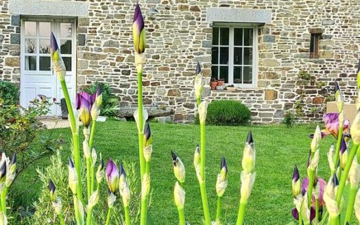 1/3  Charmante propriété de 2 maisons proche de la mer