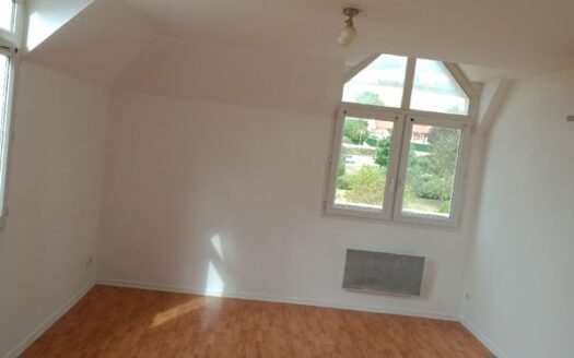 Appartement T2 avec locataire