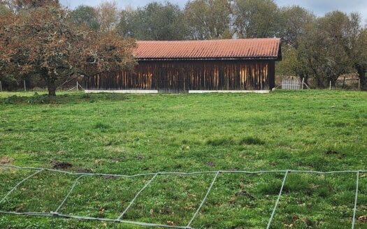 Maison typique landaise