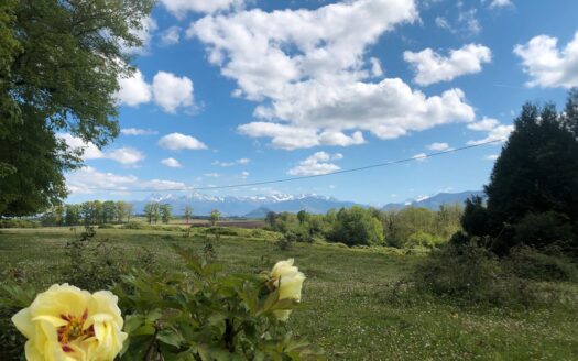 Vente propriété Pyrénées 35 ha