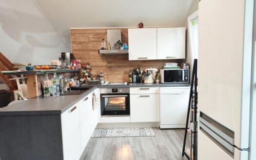 F3 duplex a vendre avec garage et jardin