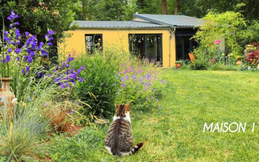 2 maisons de charme, situation remarquable et rare