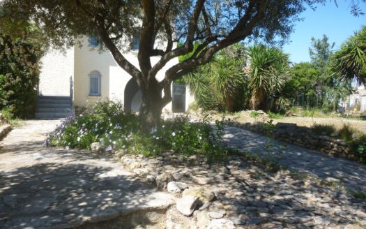 Villa spacieuse , petite Camargue