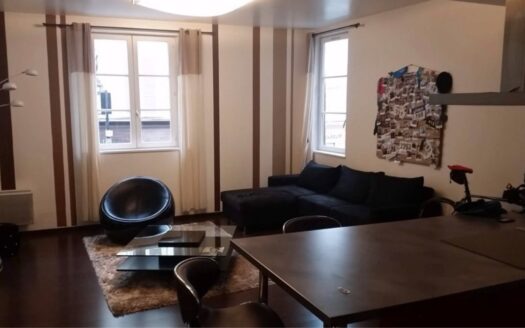 Appartement Hyper centre-ville 56m2