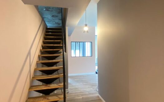 Unieux – Duplex/Loft Moderne