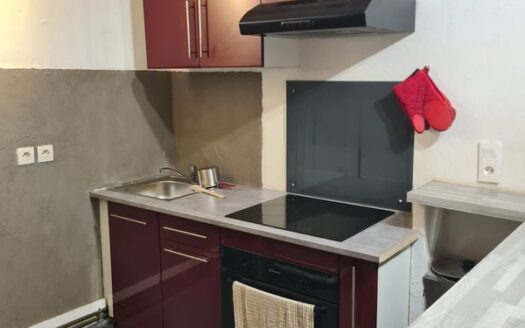 Spacieux et lumineux T4 duplex en centre-ville de Pau – Idéal famille