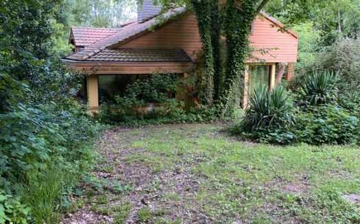 Superbe Maison d’Architecte en Bordure de Forêt