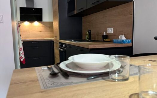 Appartement T3 de standing – centre ville de Tarbes – rénové entièrement – meublé