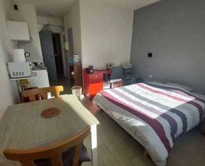 Appartement 1 pièce 20 m²