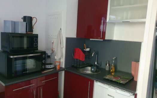 Appartement pra loup