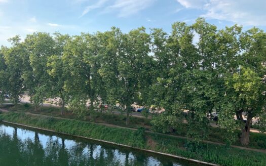 2 pièces 55 m2 avec terrasse idéalement situé presqu’île Malraux