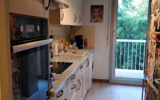 Appartement T3 Montpellier résidence la Guirlande