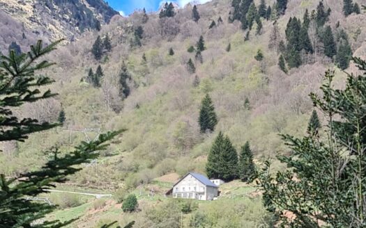 Grande maison en montagne