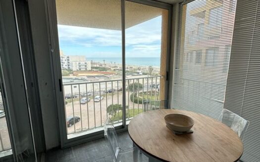 Appartement Le Barcares vue mer (Grande plage)