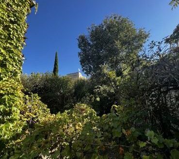 Particulier vend grande maison cité médiévale Vaison la Romaine avec Terrasse et jardin