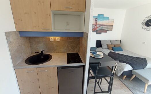 Studio meublé 21 m² proximité métro Laennec Lyon 8°