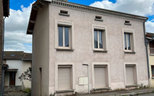 Charmante Maison de Ville avec Sous-sol Complet et Petites Cours