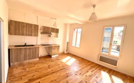 Appartement refait à neuf dans maison Toulousaine au centre-ville de Toulouse à 50 mètres du mé